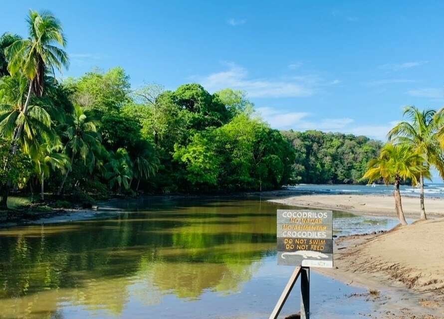 Acachete explotado en terrehappyact